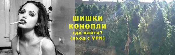 молекула духа Лабытнанги