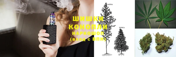 молекула духа Лабытнанги