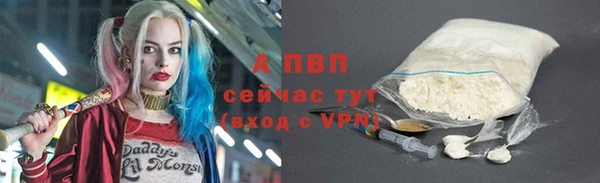молекула духа Лабытнанги