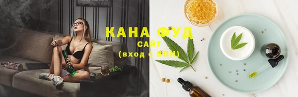 молекула духа Лабытнанги