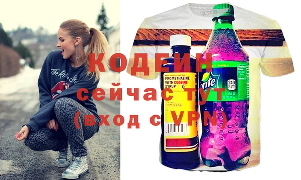 молекула духа Лабытнанги