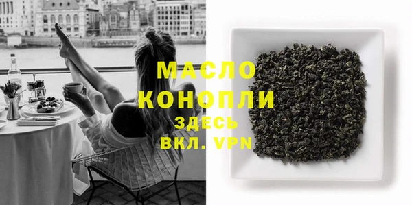 молекула духа Лабытнанги