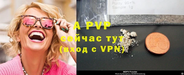 молекула духа Лабытнанги