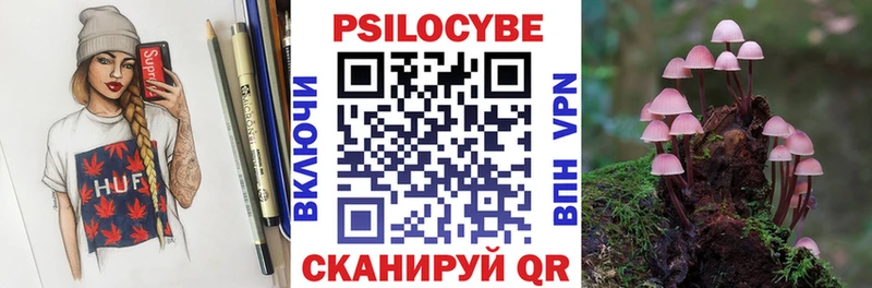 Купить  Вичуга  Псилоцибиновые грибы Psilocybine cubensis 